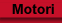 Motori